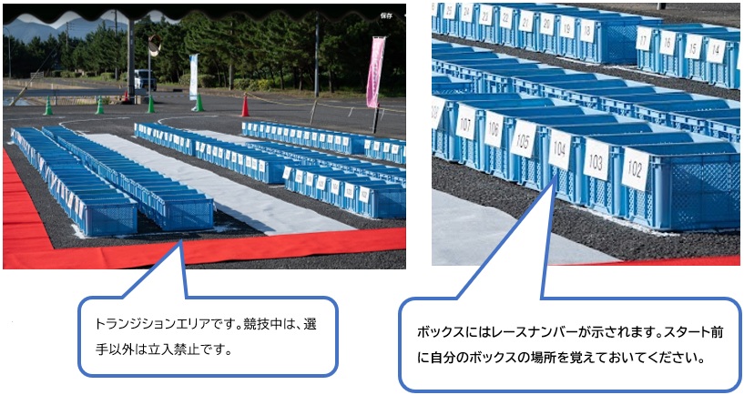 トランジションエリア